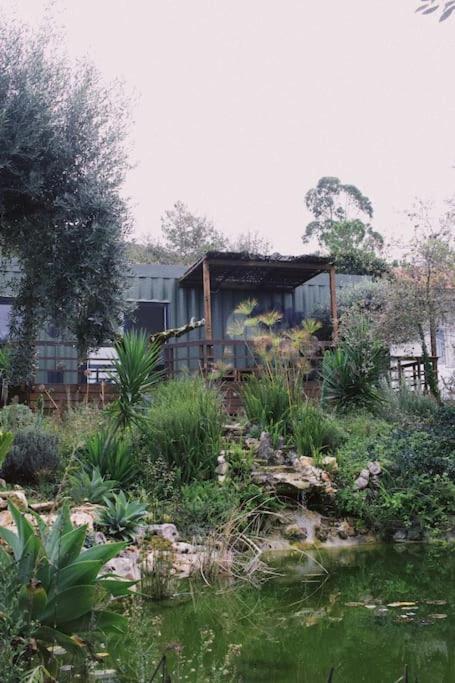 Casa Oliva - Casa Do Lago Porto de Mós المظهر الخارجي الصورة