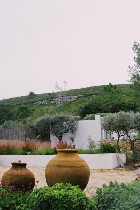 Casa Oliva - Casa Do Lago Porto de Mós المظهر الخارجي الصورة