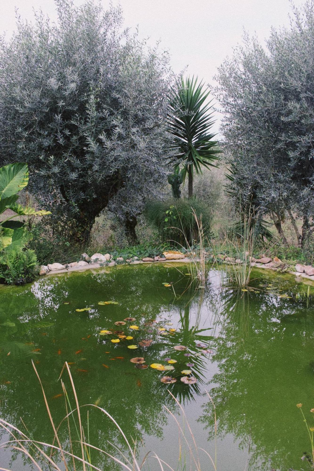 Casa Oliva - Casa Do Lago Porto de Mós المظهر الخارجي الصورة