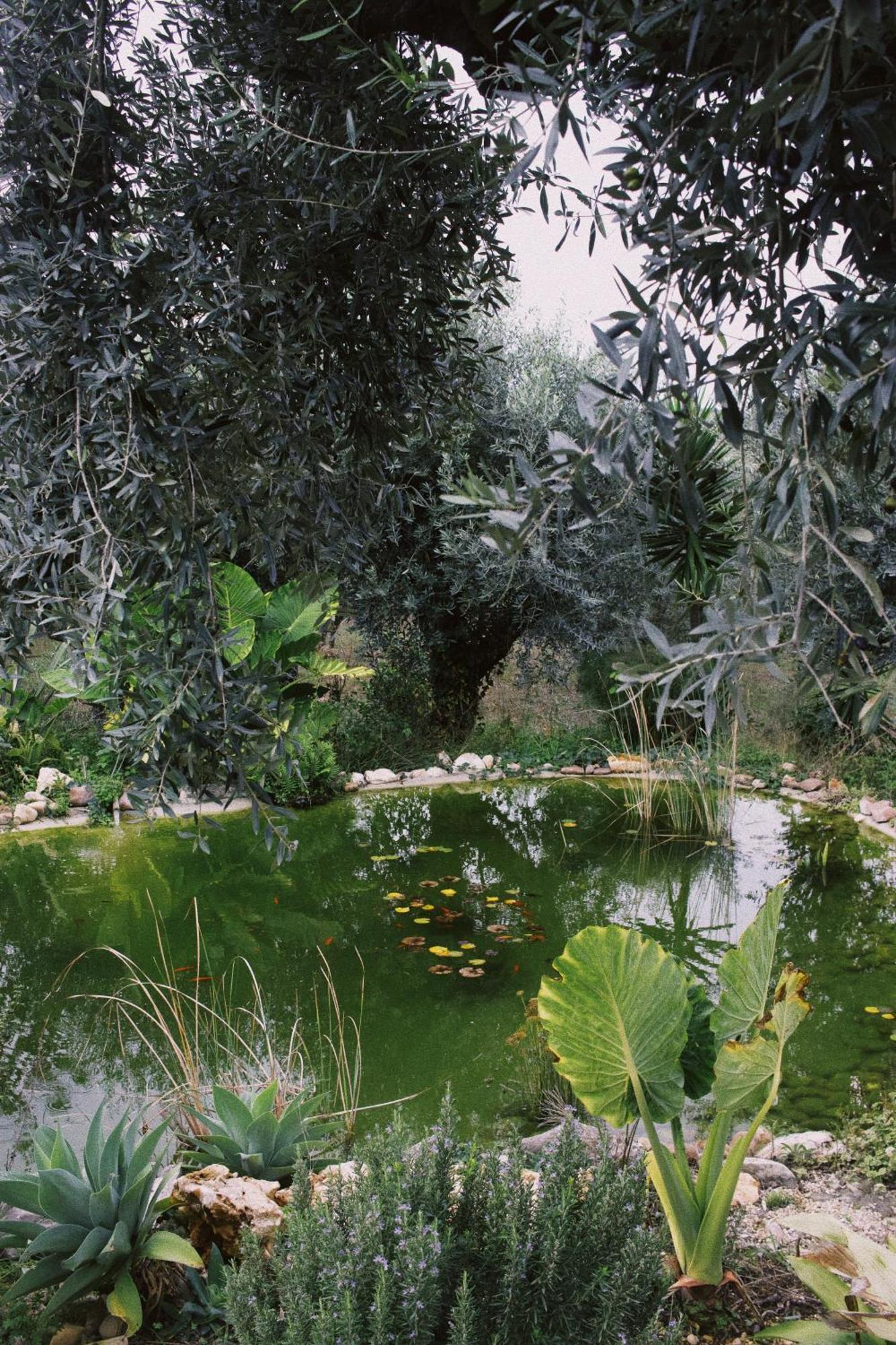 Casa Oliva - Casa Do Lago Porto de Mós المظهر الخارجي الصورة